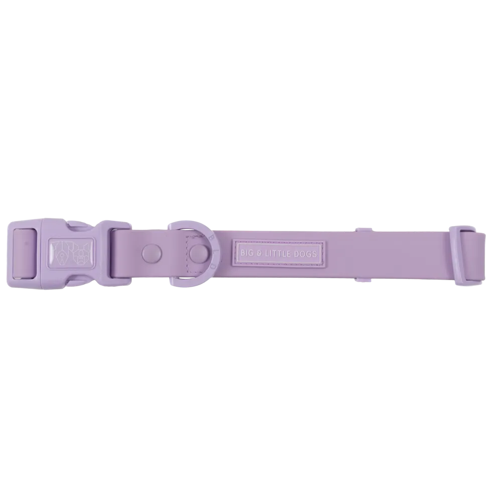 Big & Little Dogs Waterproof Dog Collar - Purple
