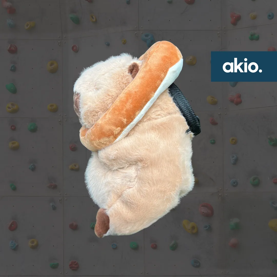 Capybara with Bread Chalk Bag