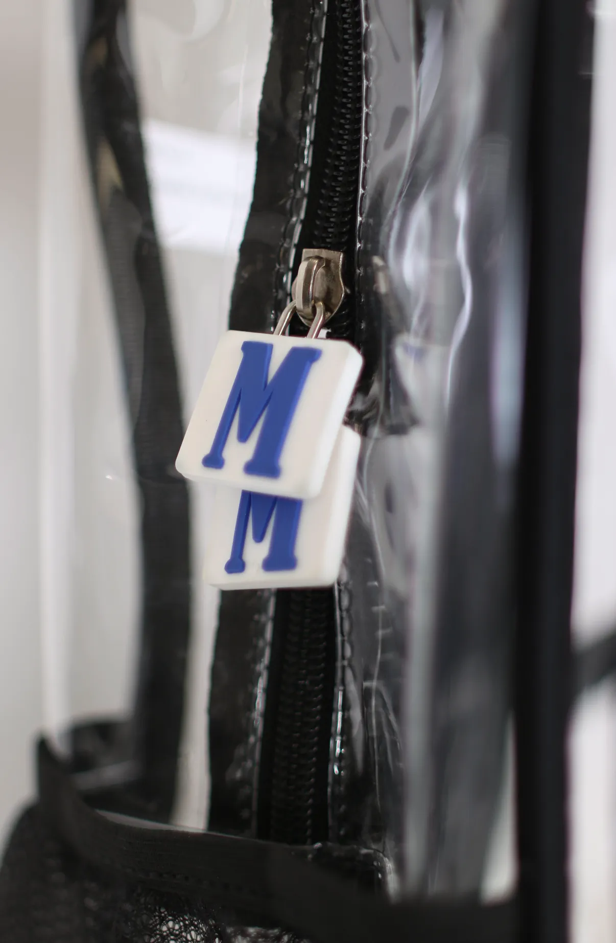 Clear Backpack, 6 black