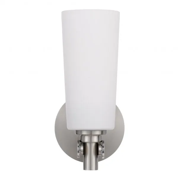 Delmar Nickel and Opal Matt Industrial Modern Wall Light