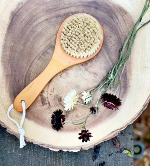 Eco friendly Dry Body Brush • Cleansing   Exfoliating • Vegan Bristles