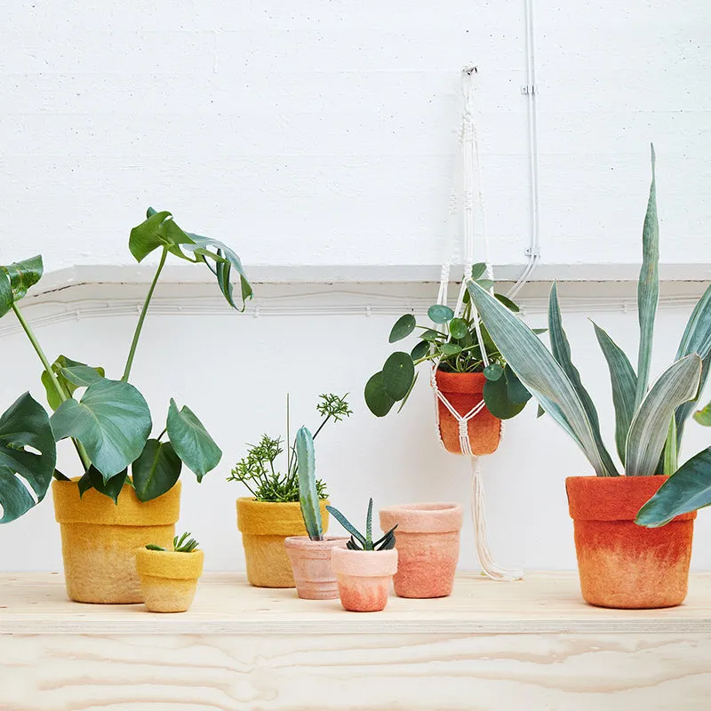 Flower Pot 20 - Medium