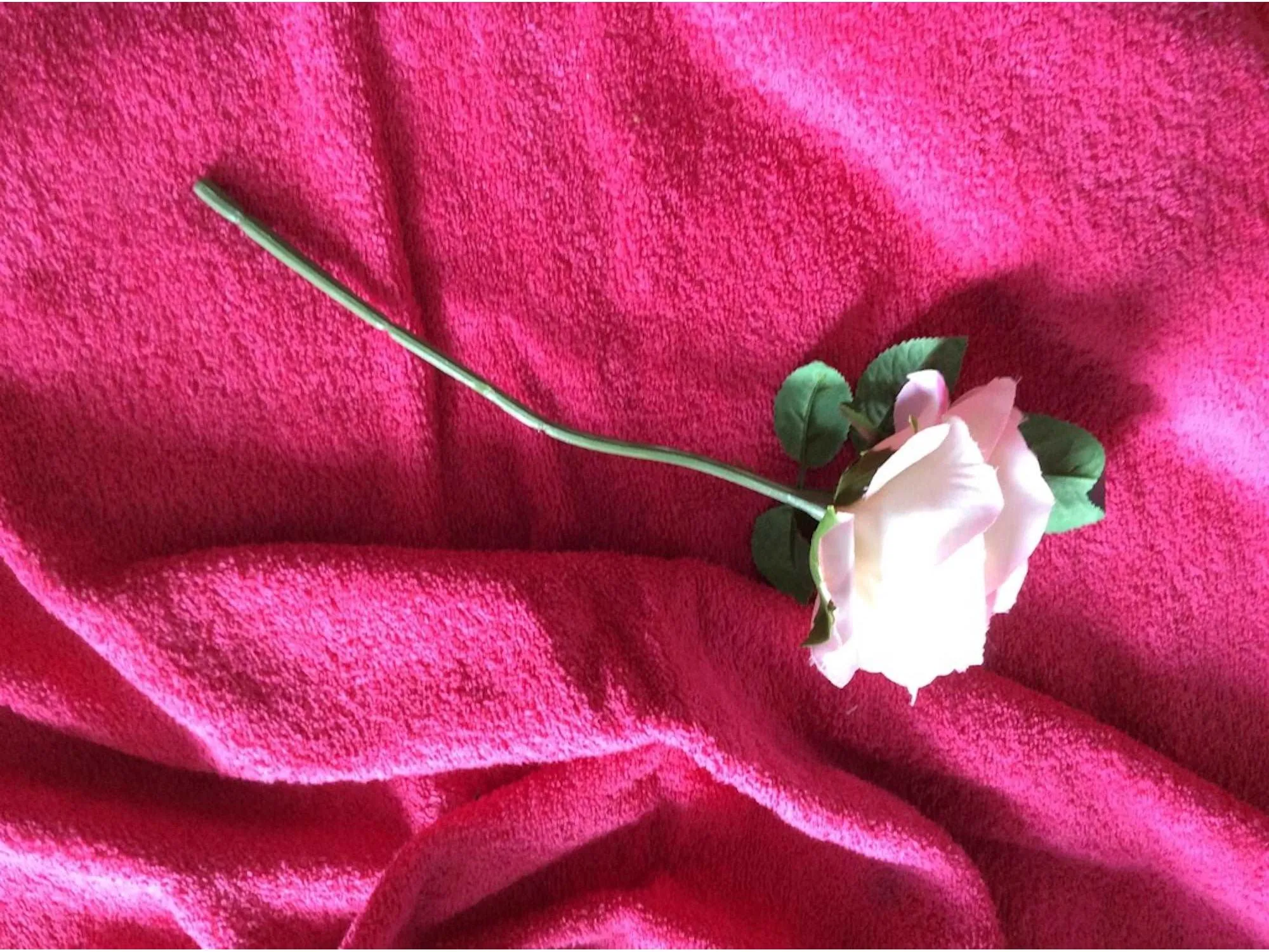 FUCHSIA PINK - Pure Cotton Thick Luxury Terry Towelling Fabric 380 gsm