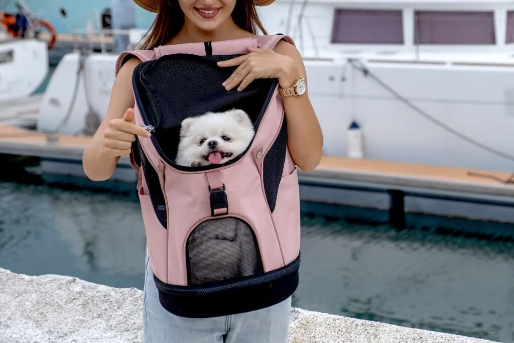 Ibiyaya Ultra Light Pro Dog Backpack Pet Carrier Coral Pink