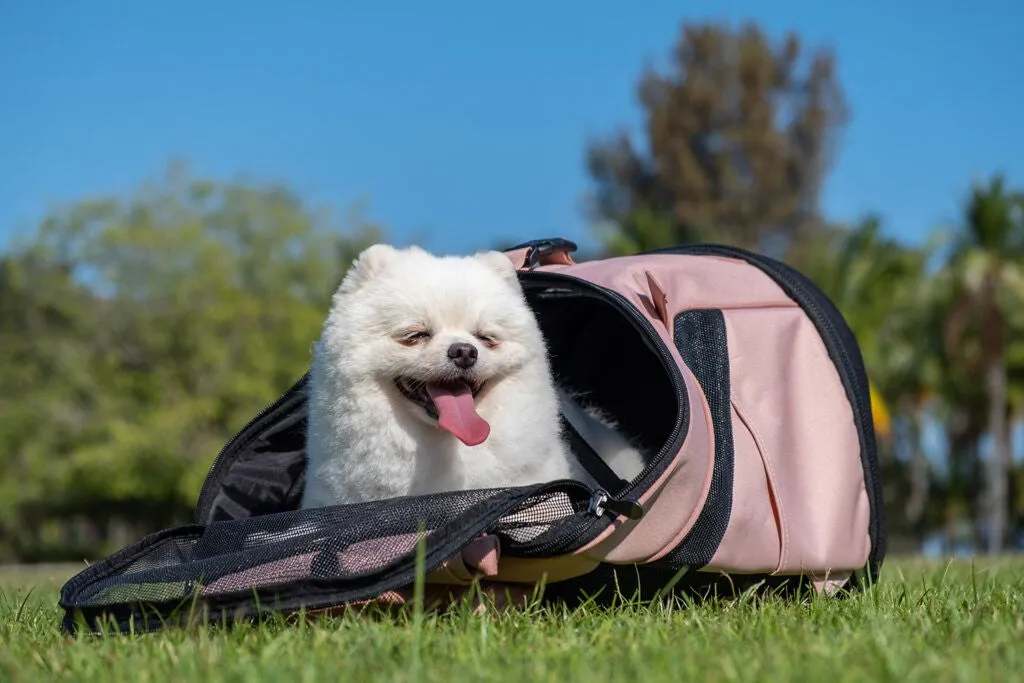 Ibiyaya Ultra Light Pro Dog Backpack Pet Carrier Coral Pink