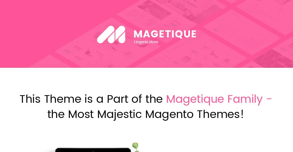 Lingerie Magento Website Design