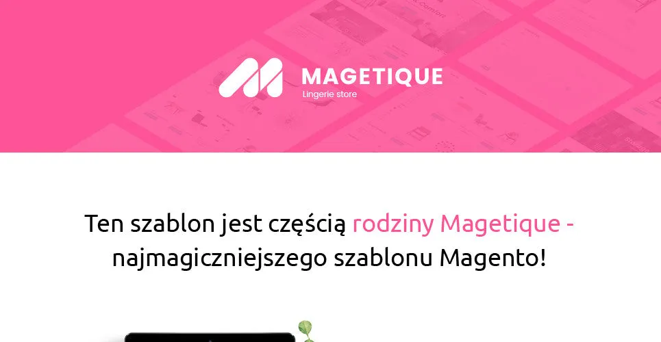 Lingerie Magento Website Design