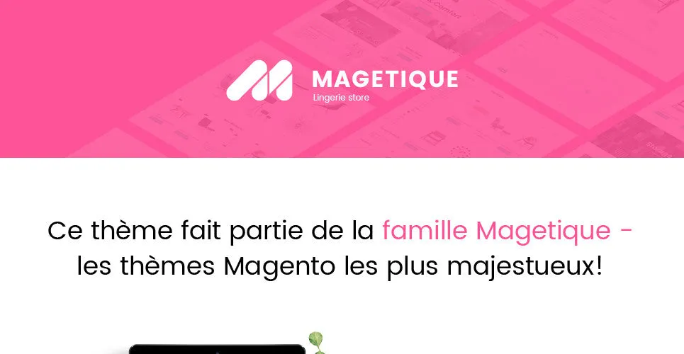 Lingerie Magento Website Design