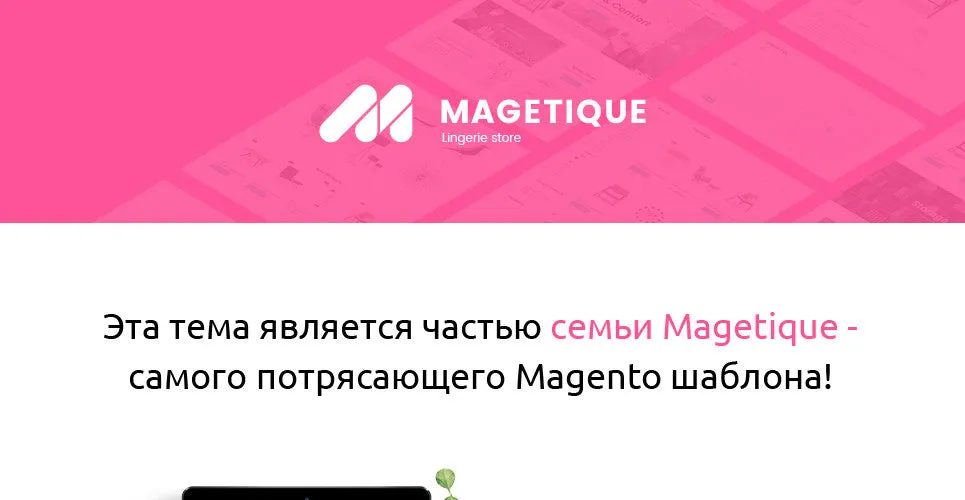 Lingerie Magento Website Design