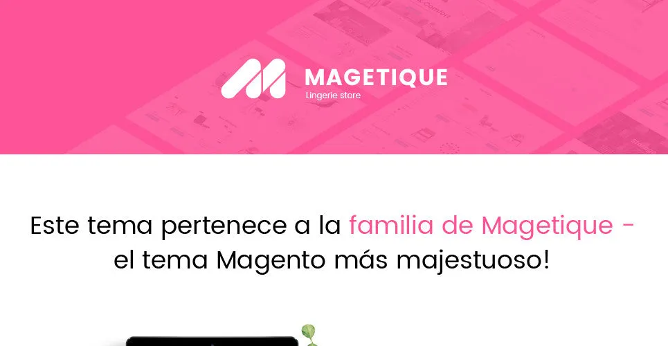 Lingerie Magento Website Design
