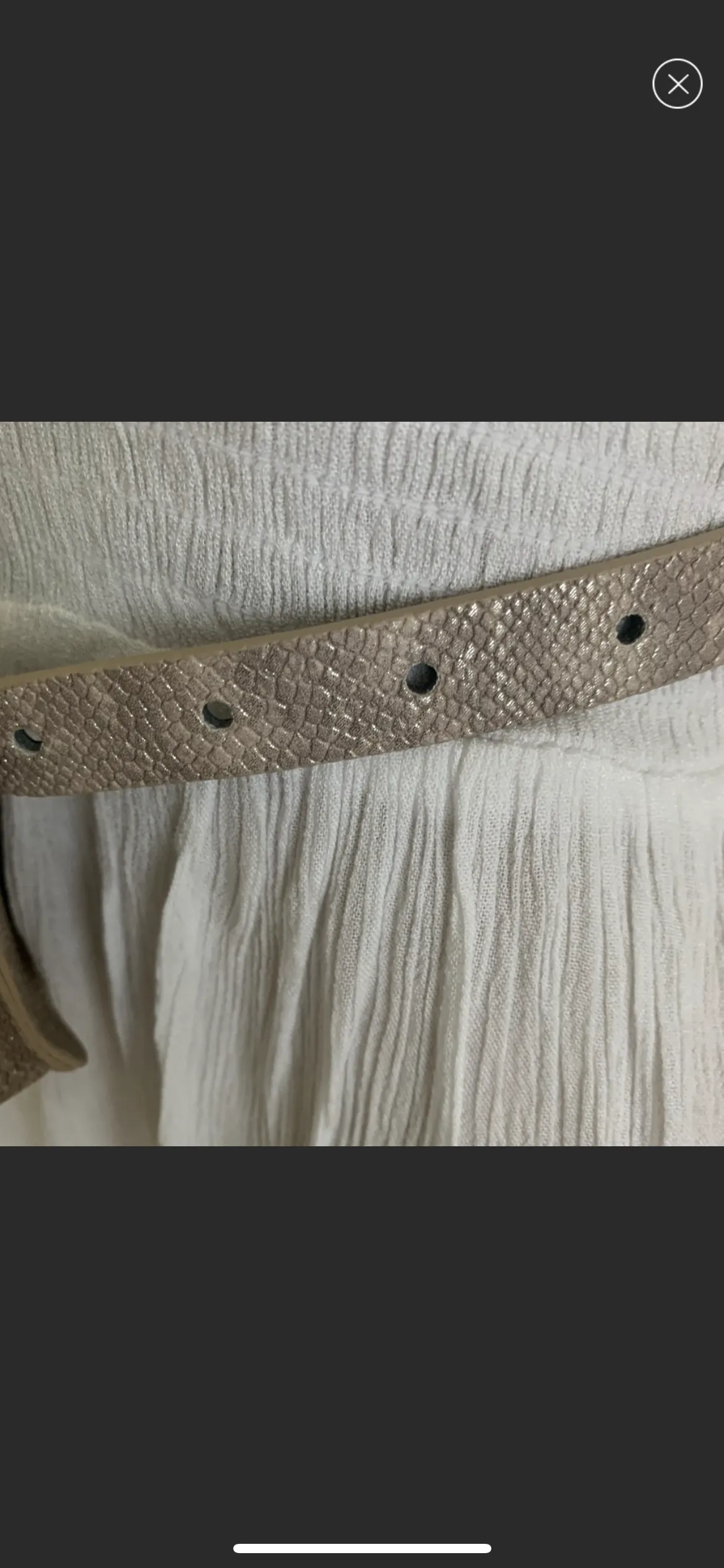 Metallic Snake-Embossed Convertible…