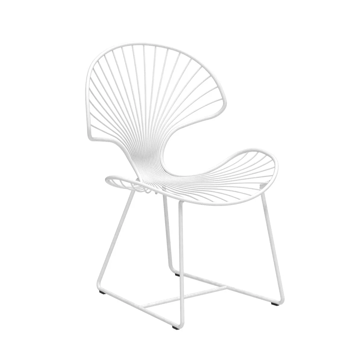 Ostrea Chair