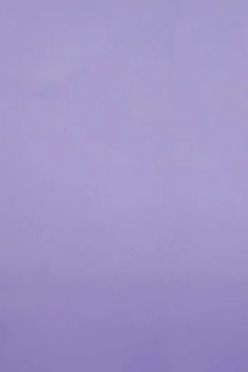 Plain Light Purple Shirt