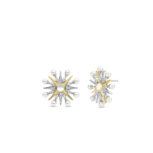 TI SENTO Earrings 7930YP